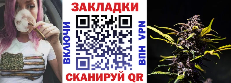 Продажа наркотиков Городец ГАШИШ  Бошки Шишки  Alpha-PVP  МЕФ  COCAIN 