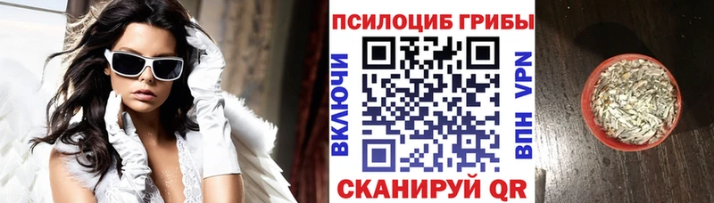 Галлюциногенные грибы GOLDEN TEACHER  Городец 