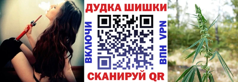 купить наркотик  Городец  сайты даркнета наркотические препараты  Бошки Шишки SATIVA & INDICA 